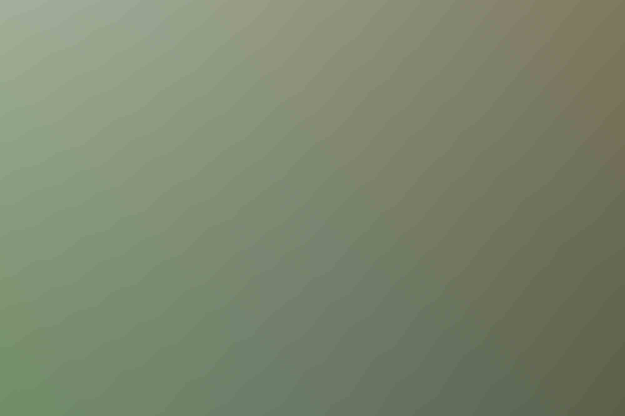 criminal law representation