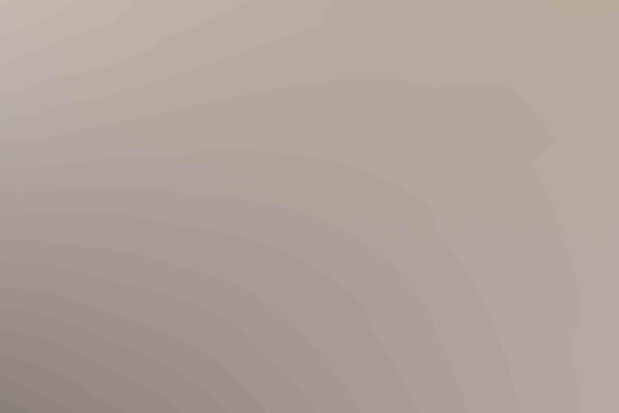 professional criminal lawyer