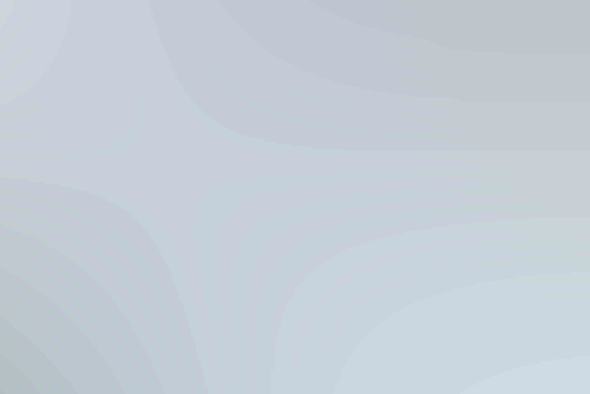 professional criminal lawyer